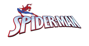 Boutique Spiderman