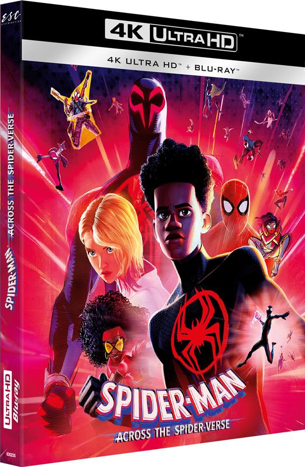 DVD Film Spiderman - Across The Spider-Verse