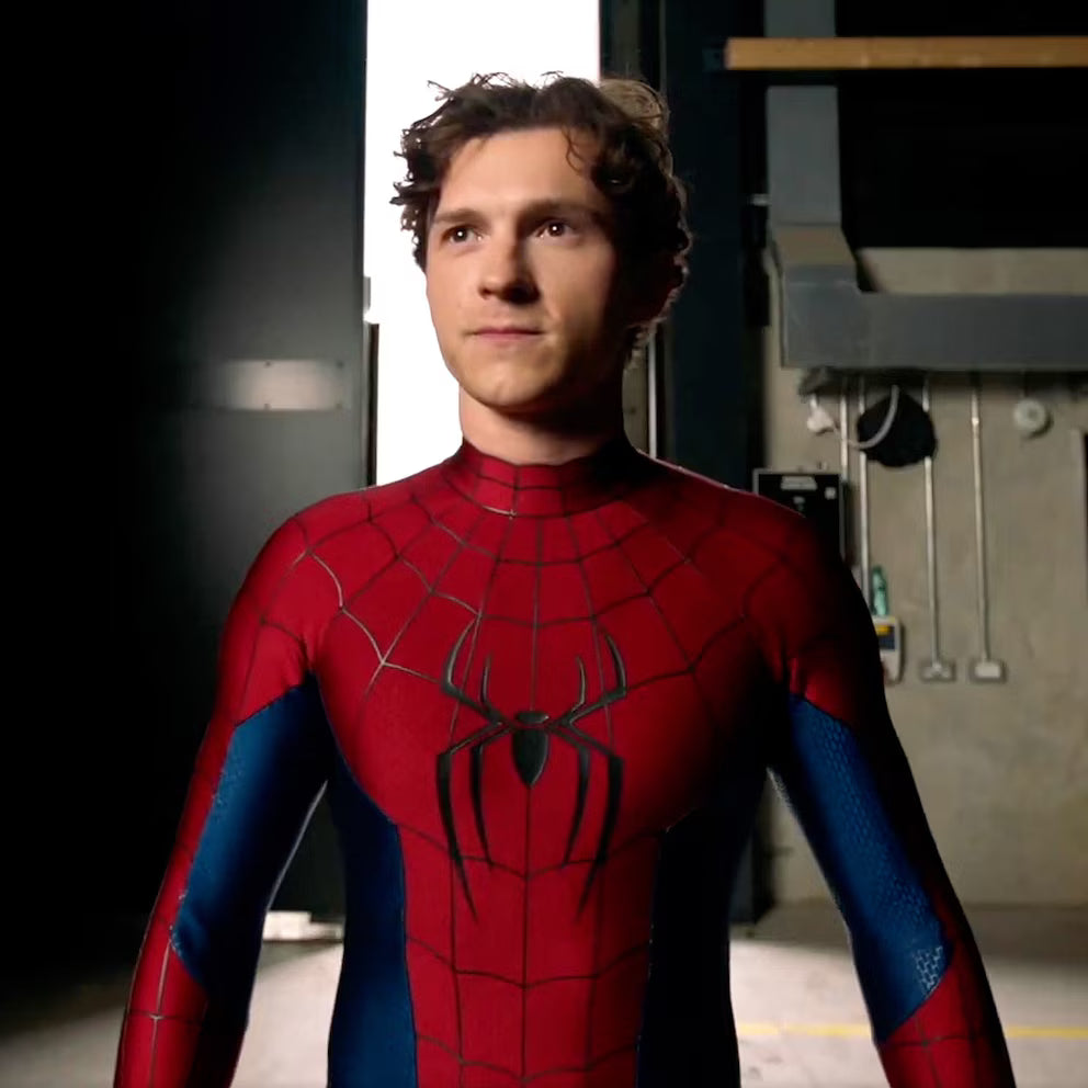 Costume Cosplay - Spider-Man Brand New Day